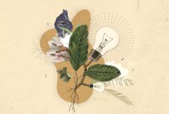 bioeconomia-indigena-jpeg