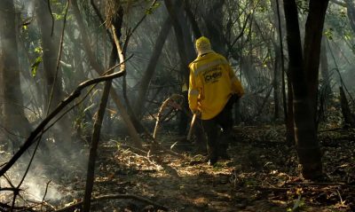 brigadistas_combate_fogo_no_para_3