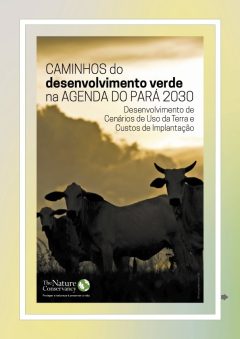 caminhos-des-verde-para-2030