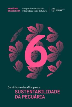 cms_files_192957_1728590404Synergia_Serie_Amazonia_Brasileira_Vol_6_Caminhos_e_desafios_sustentabilidade_da_pecuaria-imagens-0 Grande