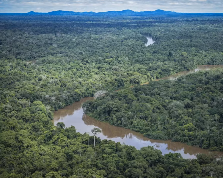 d163489e-2425-4396-9017-5372ab2a9c5f