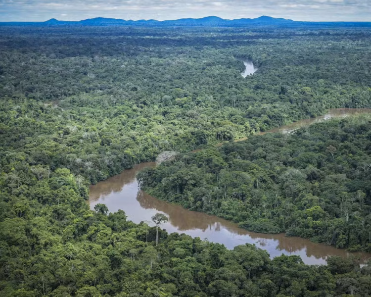 d163489e-2425-4396-9017-5372ab2a9c5f