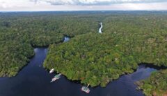 dJUx3YjP-shutterstock_675324838