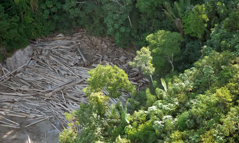 desmatamento-agencia-brasil
