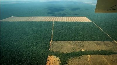 desmatamento-em-mato-grosso-divulgacao-secretaria-do-meio-ambiente-mt