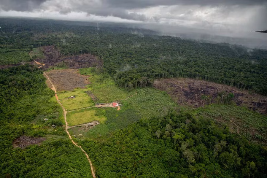 desmatamento-na-amazonia-foto-christian-braga-greenpeace (1)