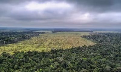 desmatamento-na-floresta-amazonica-policia-federal