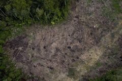 df4e298949fc7a95efc1bb12de9ab4a2