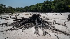 f960x540-129791_203866_5050