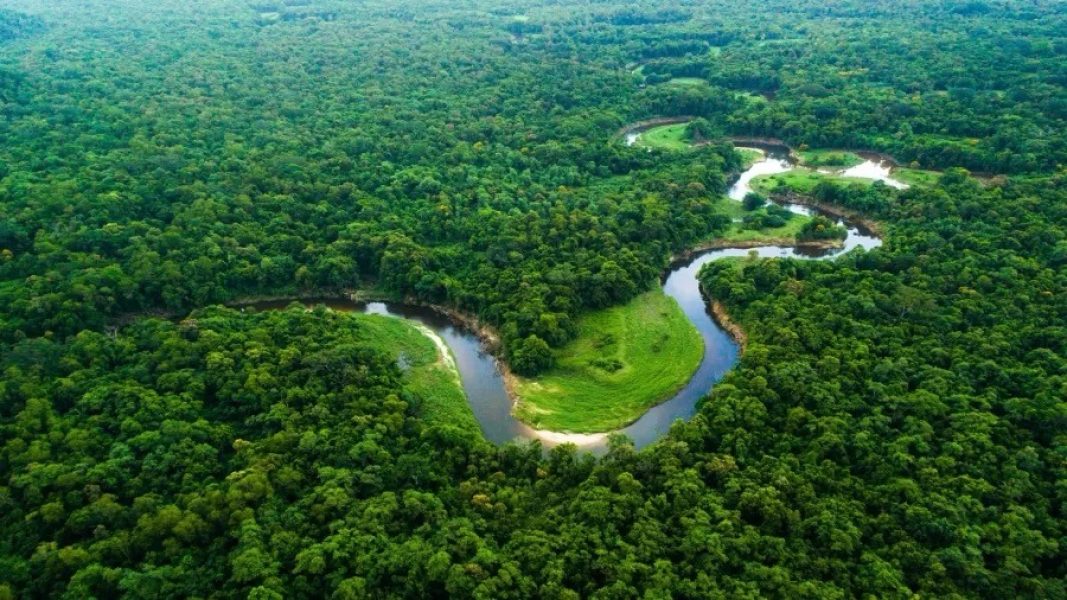 floresta-amazonica-1700228312563_v2_900x506