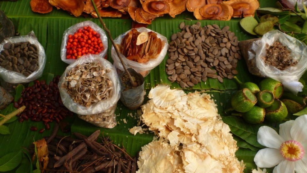 foto-destaque-mara-gama-848x477-1