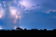 foto-ricardo-martins-2-