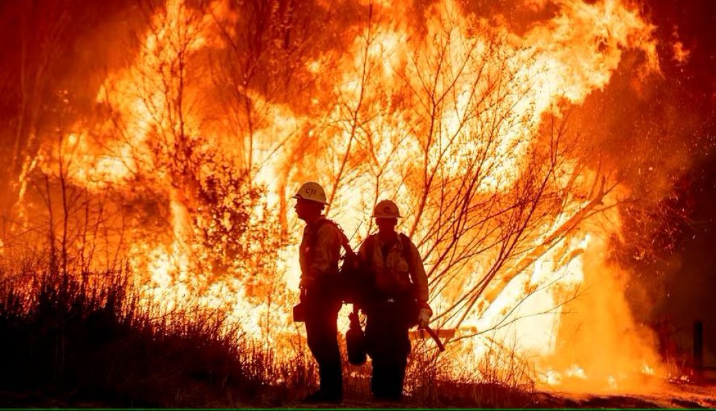 foto03opin-201-col-op1-a10