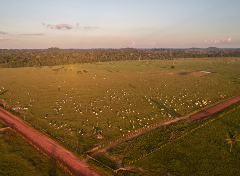 foto12opin-201-col-op1-a14