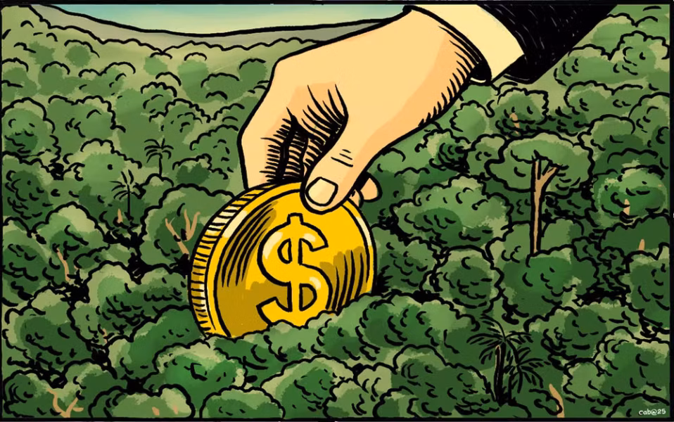 foto12opin-201-col-op3-a19