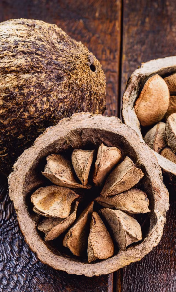 foto26cul-101-bioeconomia-d1