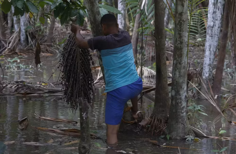 foto29opin-201-col-op1-a20