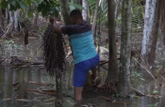 foto29opin-201-col-op1-a20