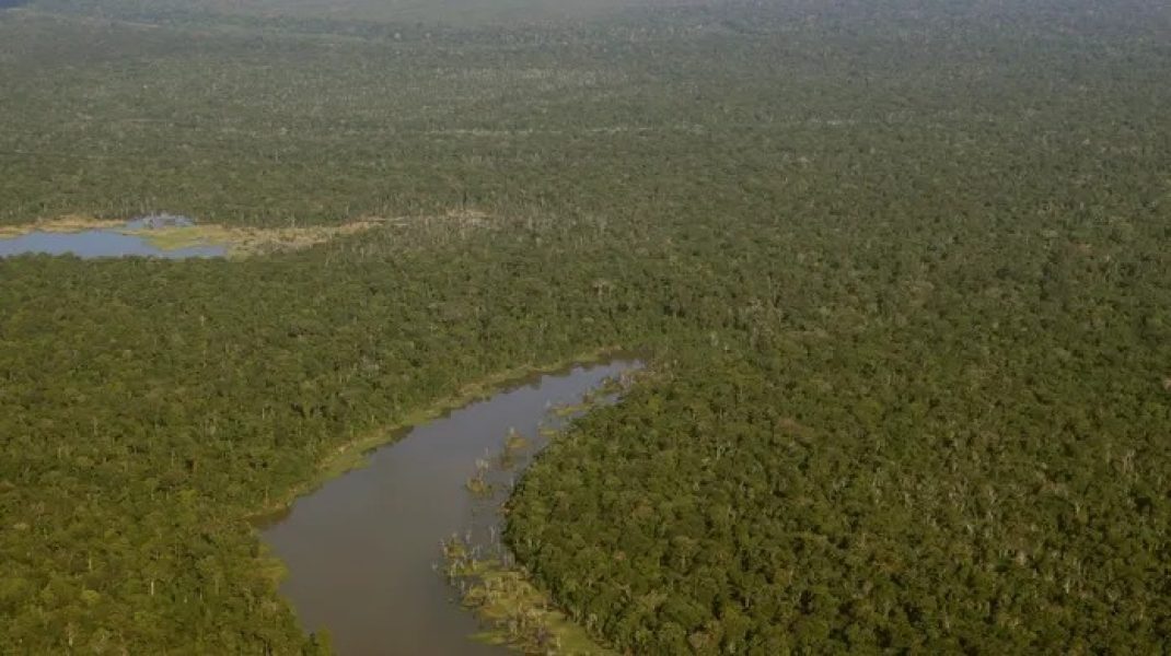 foto30esp-101-amazonia-f5