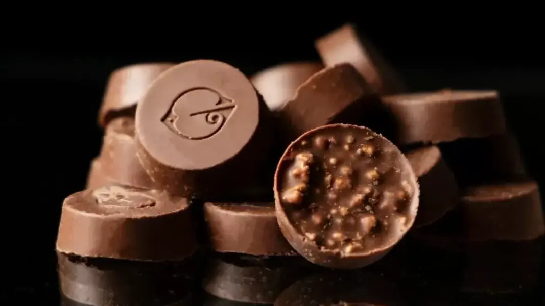 fundada-em-2012-no-para-a-gaudens-aposta-no-cacau-cultivado-por-agricultores-da-regiao-amazonica