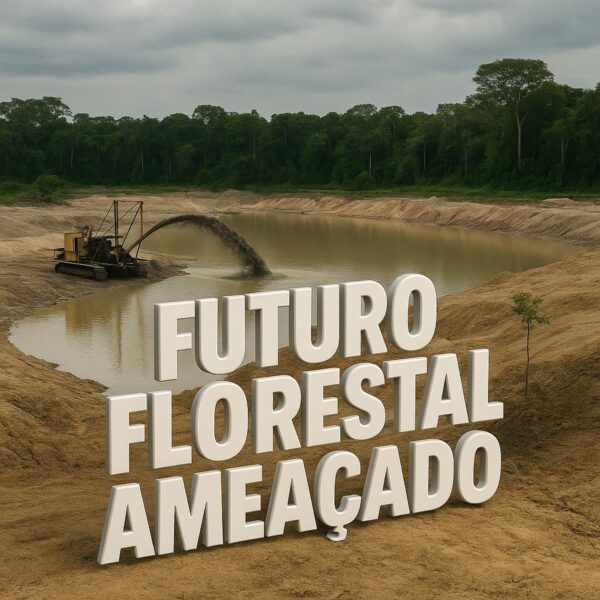 futuro_florestal_ameacado_1200px