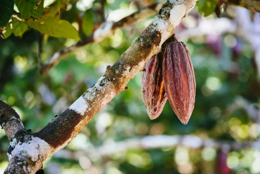 gettyimages-1134655444