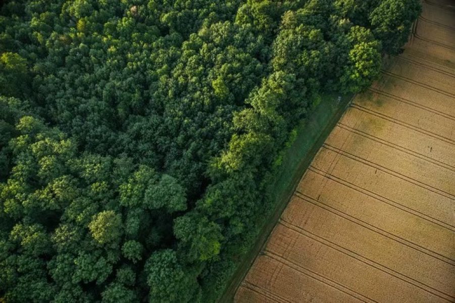 gettyimages-581693645 Média