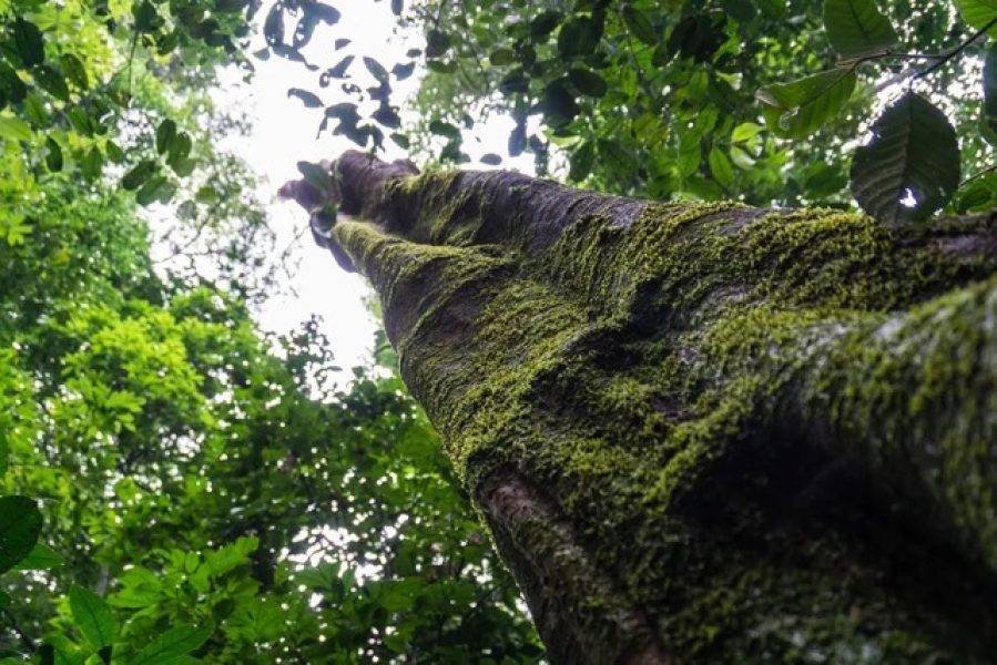 gettyimages-685132583-Media