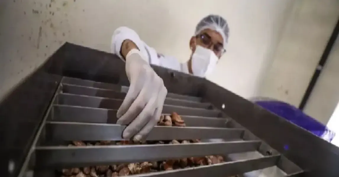 imagem_otimizada-2025-08-11T154439.489