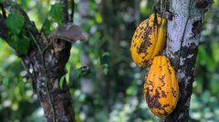 kyle-hinkson-fuuhb86A-tE-unsplash-1-1