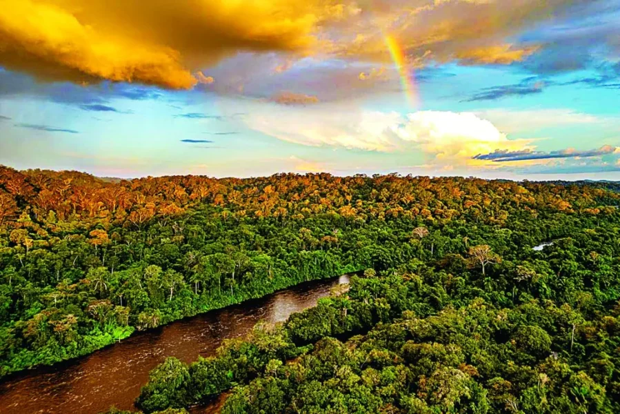 l4Seh38z-desmatamento1-1024x683