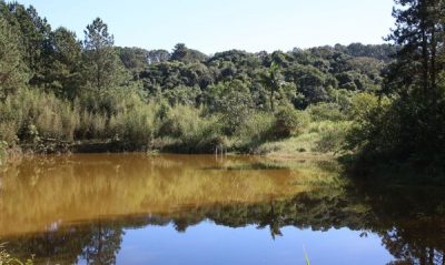 lago-em-territorio-de-pais-amazonico-rovena-rosa-agencia-brasil