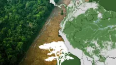 mapas e fotos que mostram a morte lenta da Amazônia
