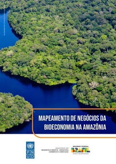 mapeamento_de_negocios_da_bioeconomia_da_amazonia_page-0001 Média