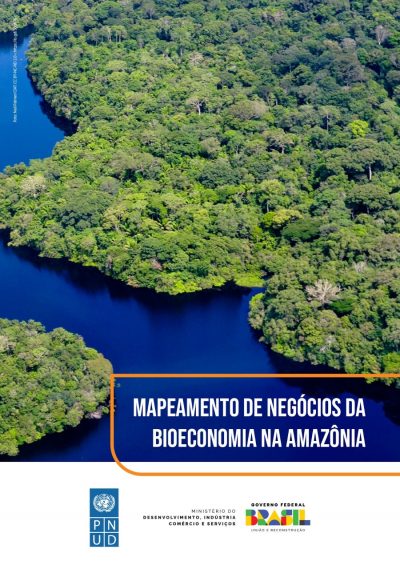 mapeamento_de_negocios_da_bioeconomia_da_amazonia_page-0001