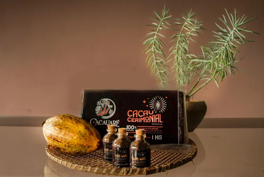 no-par-cacau-mistura-tradio-tecnologia-e-empreendedorismo-para-transformar-realidades-xgv3s6