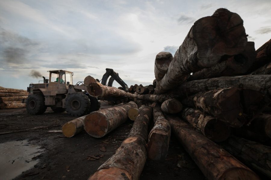 original-1739457744-0v1a7864