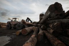 original-1739457744-0v1a7864