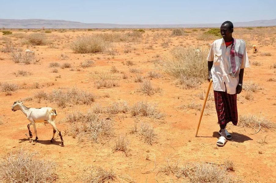 oxfam-east-africa-somalilanddrought011