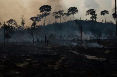 queimadas-na-Amazonia-2-600x400-1