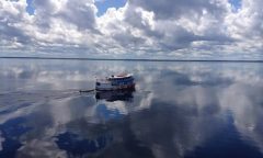 rioamazonas (1)nova 2