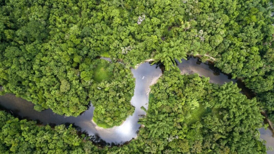 Top View of Amazon Rainforest, Brazil