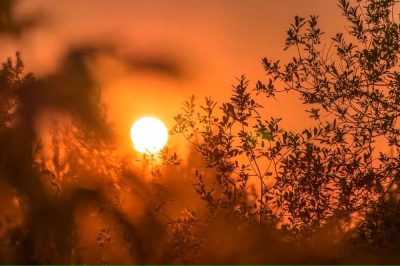 sol-calor-aquecimento-global-verao