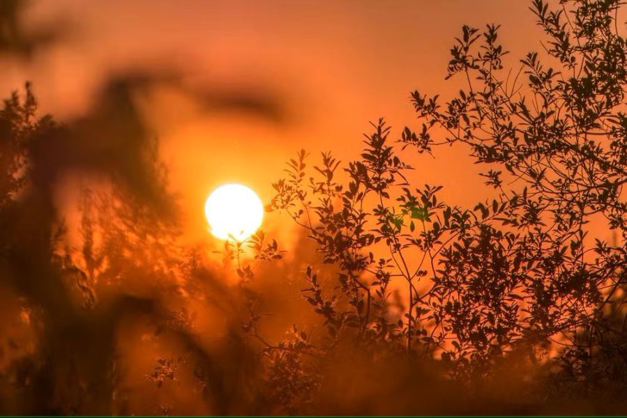 sol-calor-aquecimento-global-verao