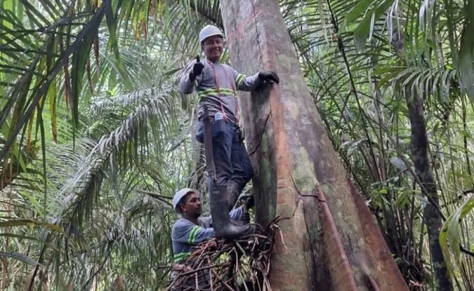 startup-quer-redistribuir-socc0taepjdx