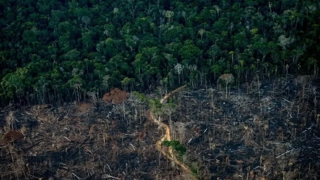 taxa-de-desmatamento-na-amazonia-aumentou-nos-ultimos-anos-revelam-as-estatisticas-do-governo-federal-1666024877321_v2_900x506.jpg
