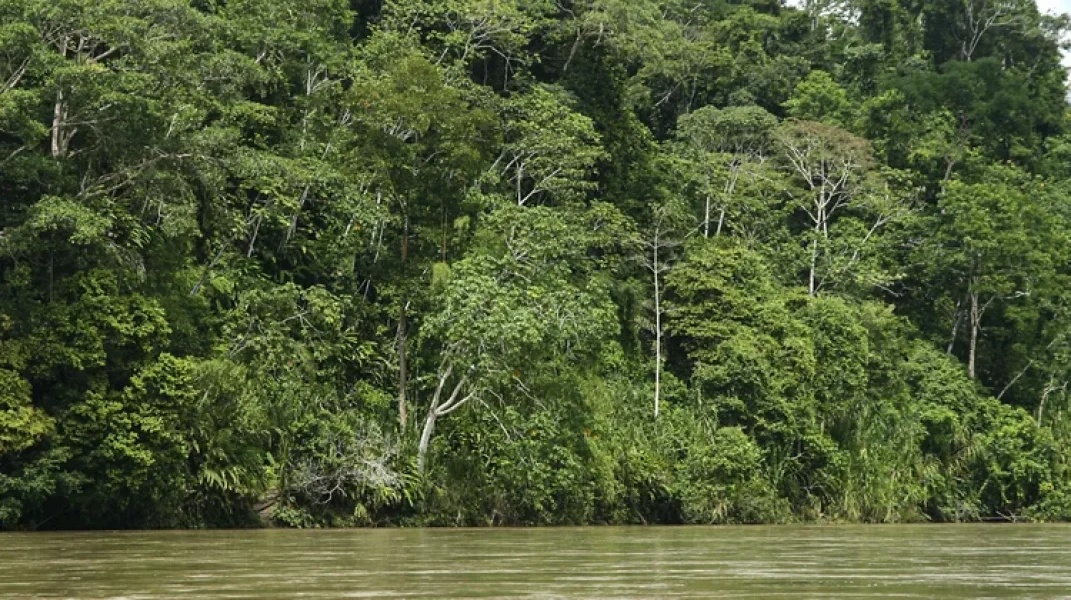 thumbnail_foto-amazonia