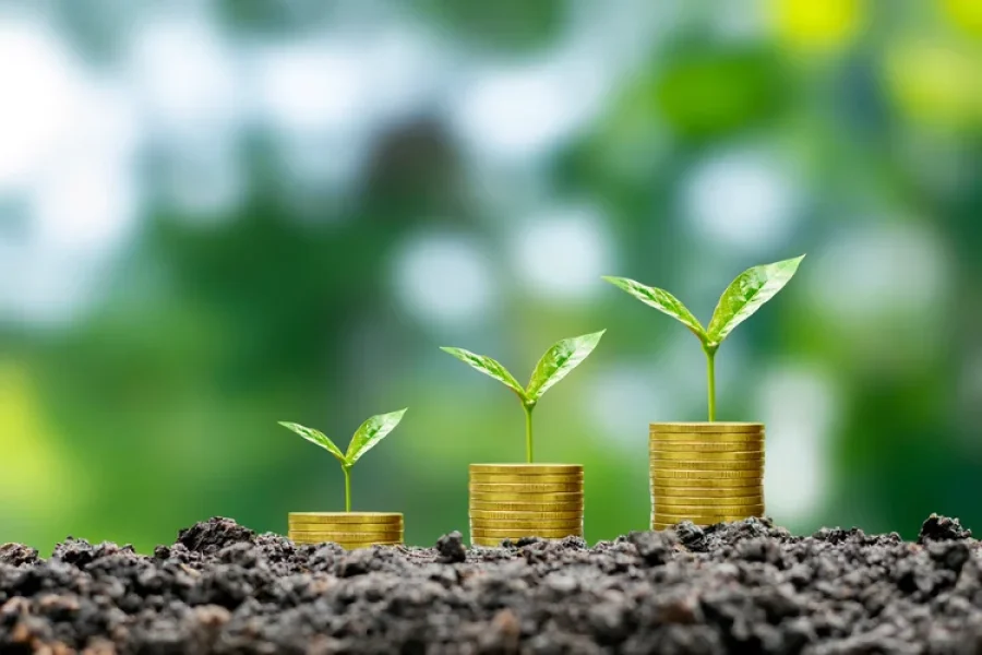 tree-grows-with-money-fertile-soil-is-business-growth-idea-finance-investment