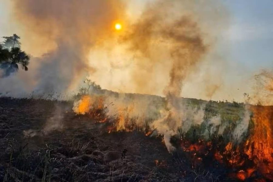 up-ag-24067-8b32c2cb-fbb1-c79c-d358-ec4418e08749