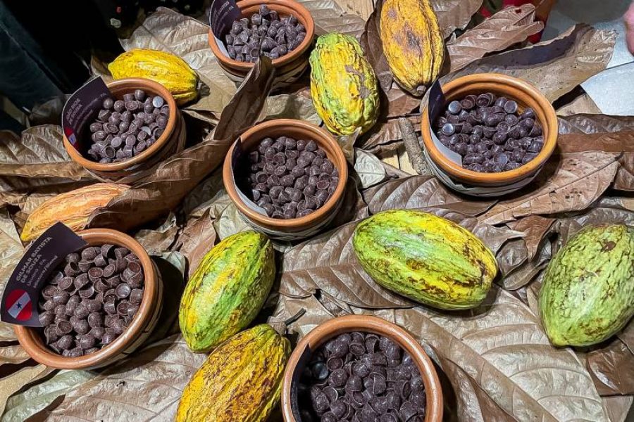 up_ag_61792_46495900-fe1e-ba4c-bcf7-d6258e9e77c9